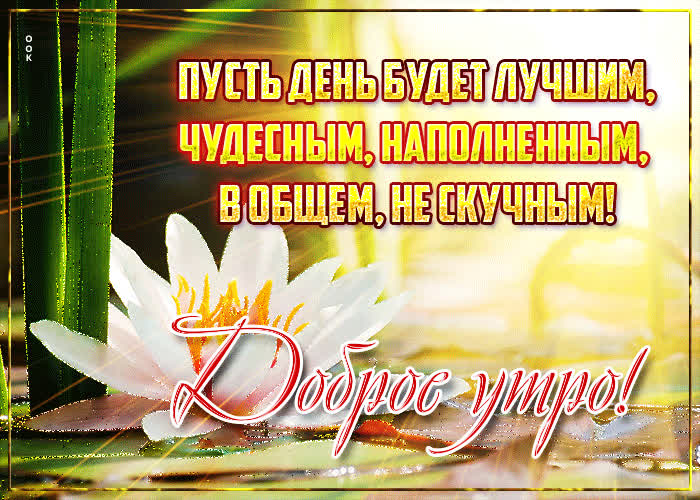 Открытка 111