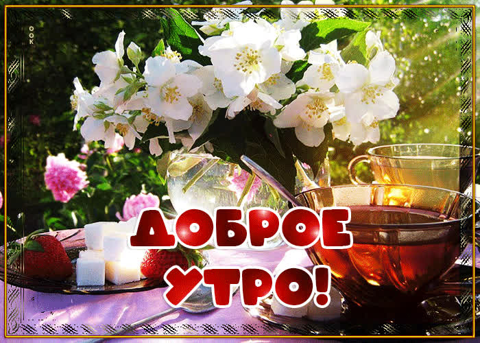 Картинка 111