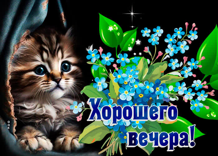 Picture безупречная открытка с котенком и цветами хорошего вечера