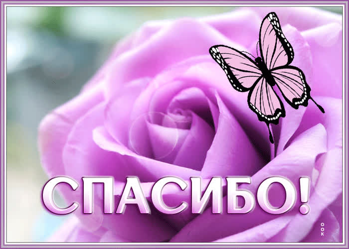 Postcard благодарная анимационная открытка спасибо