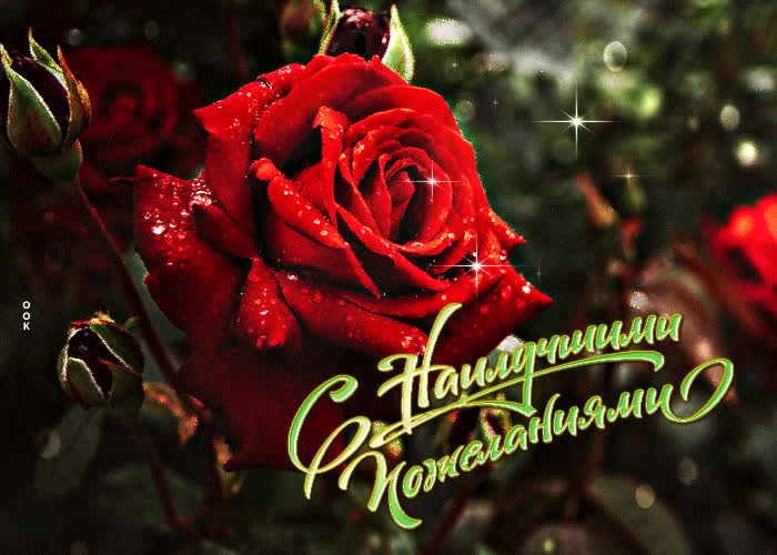 Postcard блестящая открытка с розой с наилучшими пожеланиями!