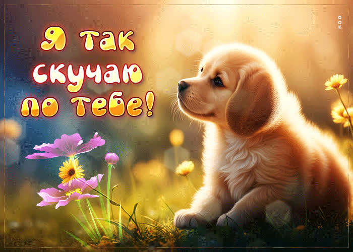 Postcard бодрая и легкая гиф-открытка я так скучаю по тебе