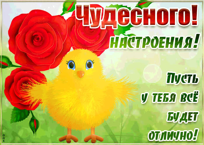 Картинка большого настроения и везения желаю
