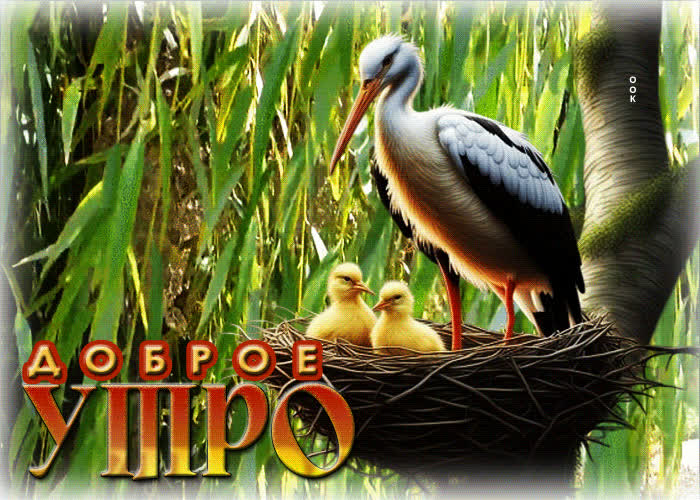 Postcard чарующая гиф-открытка доброе утро