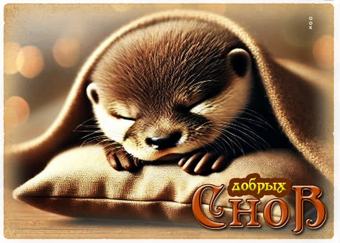 Postcard чарующая открытка добрых снов