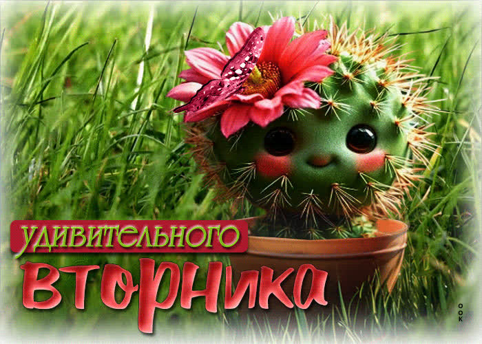 Postcard чистая, гармоничная гиф-открытка удивительного вторника