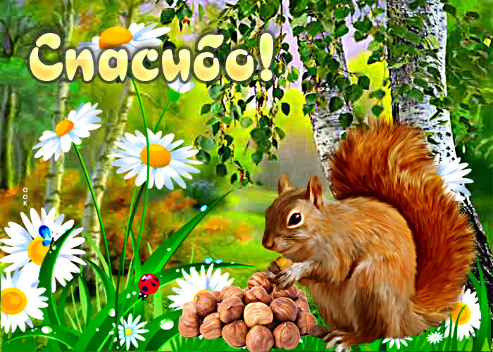 Postcard чудесная картинка спасибо! с белкой