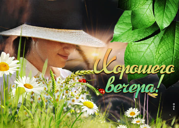Postcard чудесная открытка хорошего вечера! с девушкой