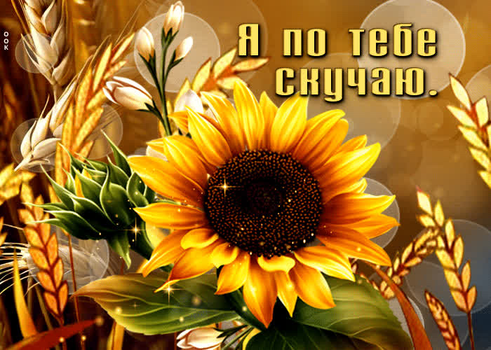 Picture цветущая и ароматная летняя открытка я по тебе скучаю