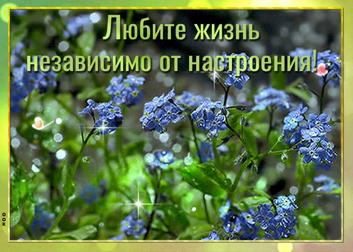 Картинка дарю хорошее настроение. улыбнись скорей!