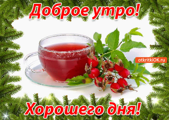 Картинка доброе утро! хорошего дня!