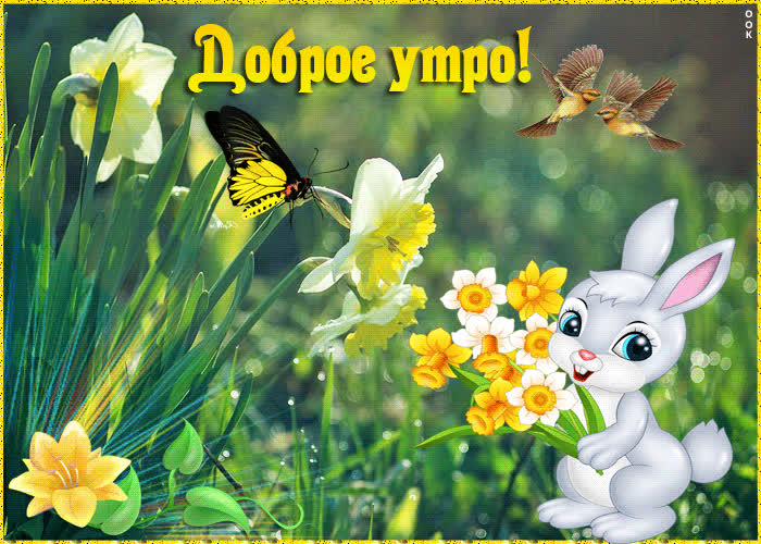 Картинка доброго утра и ясного неба