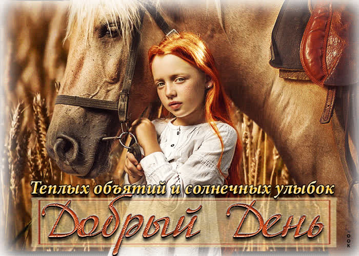 Postcard добрый день! теплых объятий и солнечных улыбок!