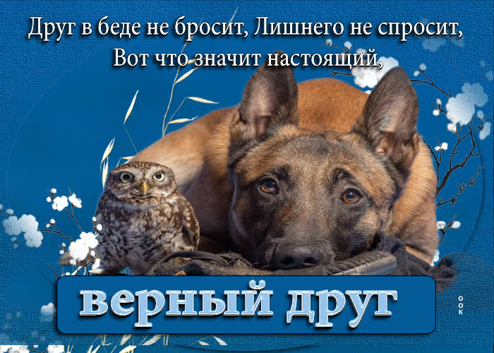Picture друг в беде не бросит, лишнего не спросит