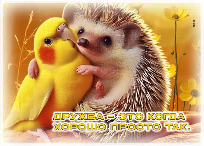 Postcard дружба - это когда хорошо просто так