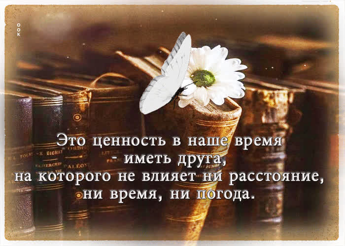 Picture дружелюбная и добрая гиф-открытка для друга