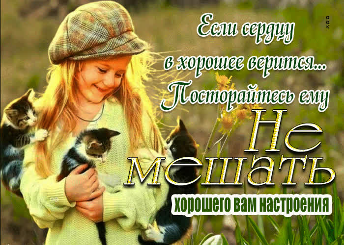 Postcard душевная открытка хорошего вам настроения!