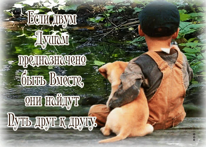Picture если двум душам предназначено быть вместе, они найдут путь друг к другу