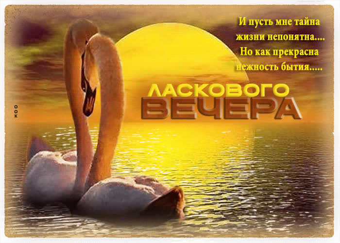 Postcard и пусть мне тайна жизни непонятна, но как прекрасна нежность бытия