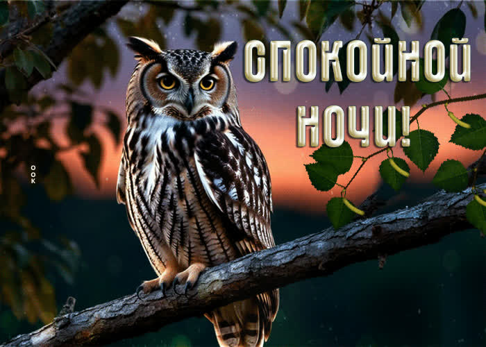 Postcard искрящаяся и жизнерадостная гиф-открытка спокойной ночи