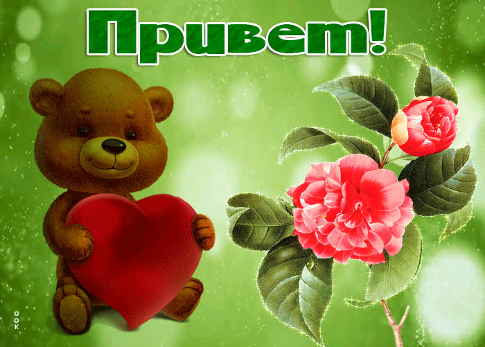 Картинка картинга гиф привет