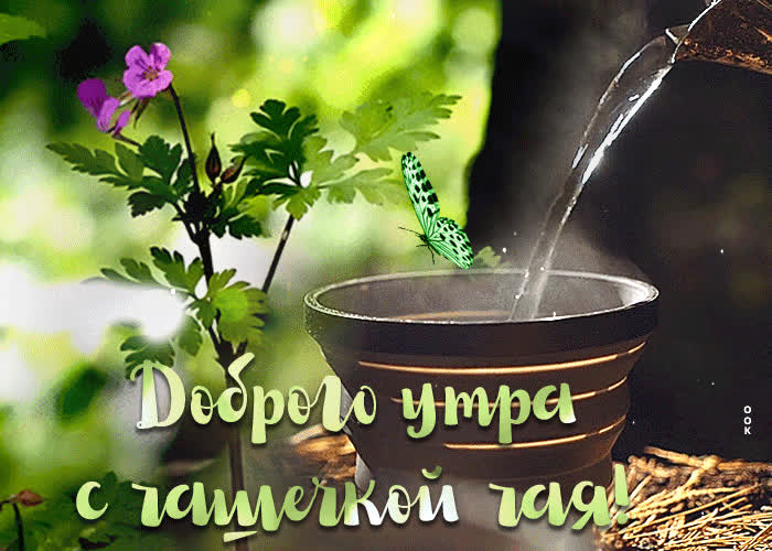 Картинка картинка доброе утро с чашечкой чая
