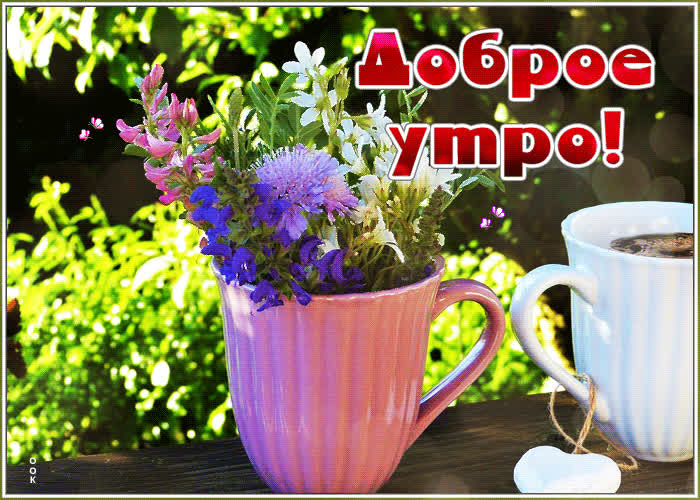 Картинка картинка доброе утро с полевыми цветами