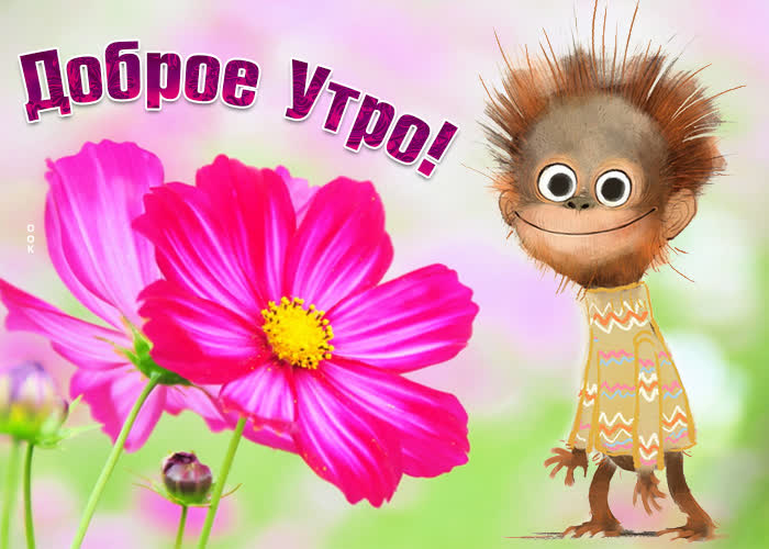 Открытка картинка доброго утро милота