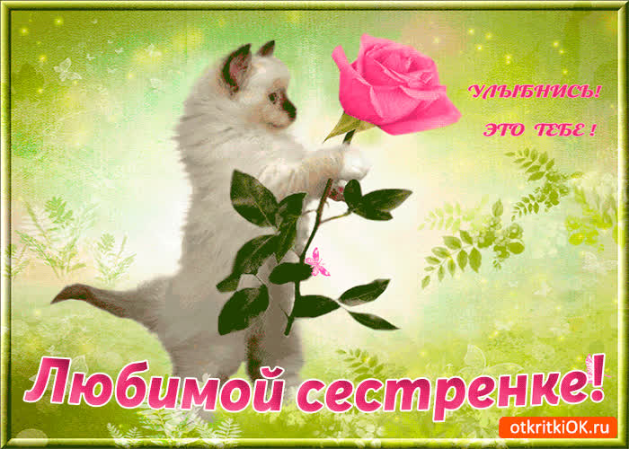 Картинка картинка с котиком сестре