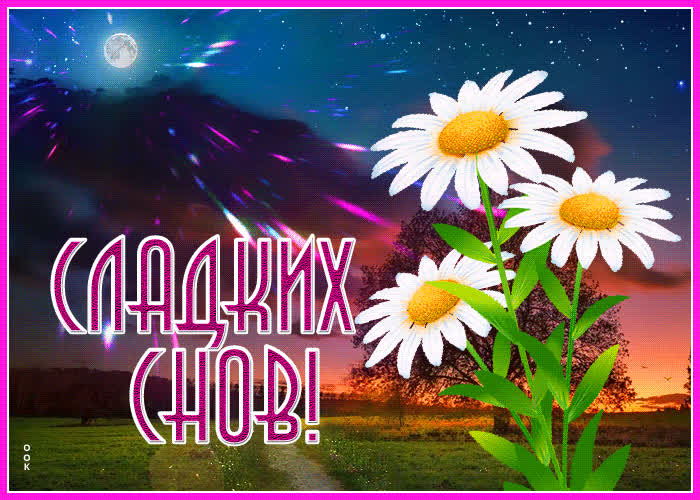 Картинка картинка сладких снов