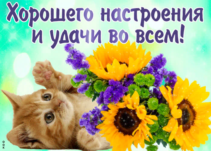 Картинка хочу пожелать хорошего настроения и удачи во всем
