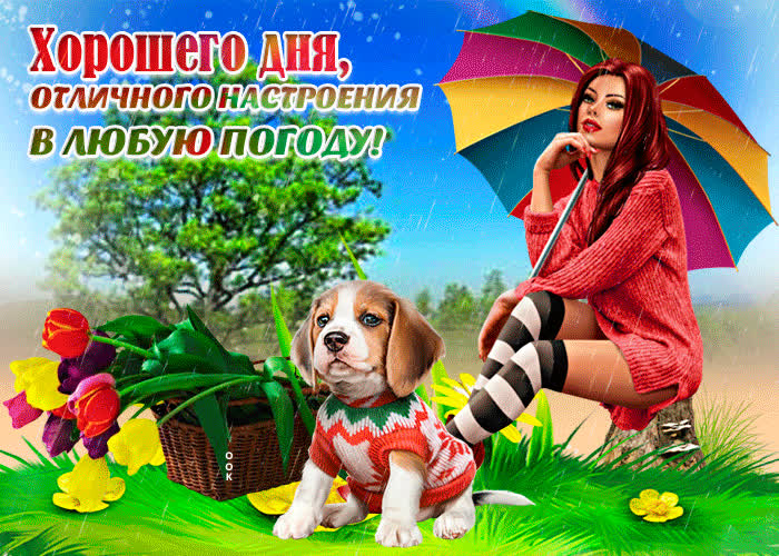 Картинка хорошего дня и отличного настроения в любую погоду
