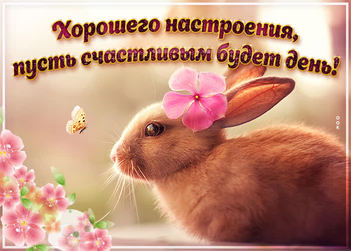 Картинка хорошего и яркого настроения желаю