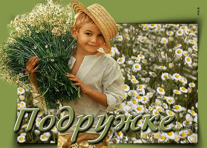 Картинка классная картинка с букетом ромашек подружке
