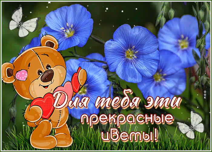 Picture классная открытка для тебя эти прекрасные цветы!