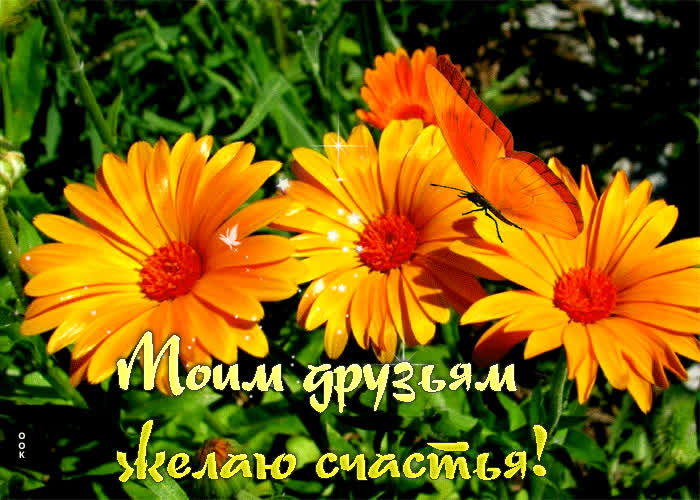 Postcard классная открытка моим друзьям желаю счастья!