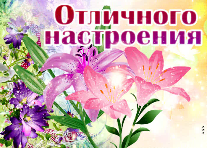 Картинка классная открытка отличного настроения с цветами