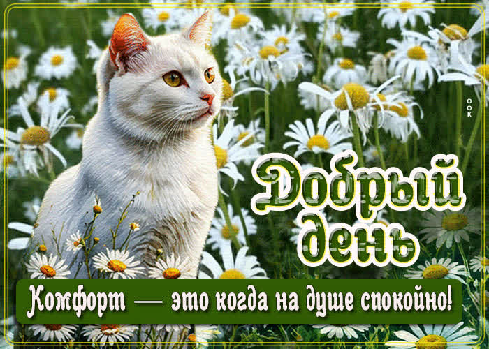 Picture комфорт - это когда на душе спокойно! добрый день