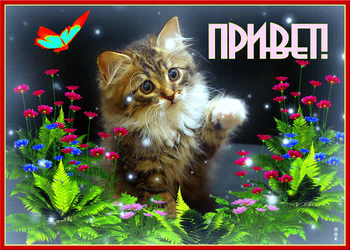 Картинка привет, как у тебя дела