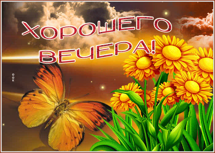 Postcard красивая открытка с бабочкой хорошего вечера!