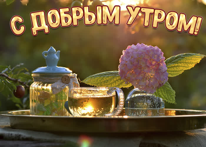 Открытка красивая солнечная картинка доброе утро