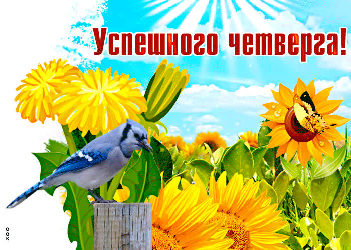Picture красочная открытка с полем цветов успешного четверга!