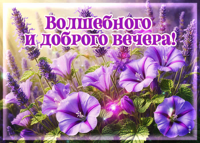 Picture ласковая, бодрящая гиф-открытка волшебного и доброго вечера