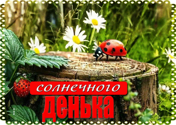 Postcard ласковая открытка солнечного денька