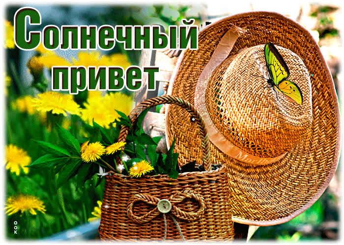 Картинка летний приветик - солнечных и радостных дней