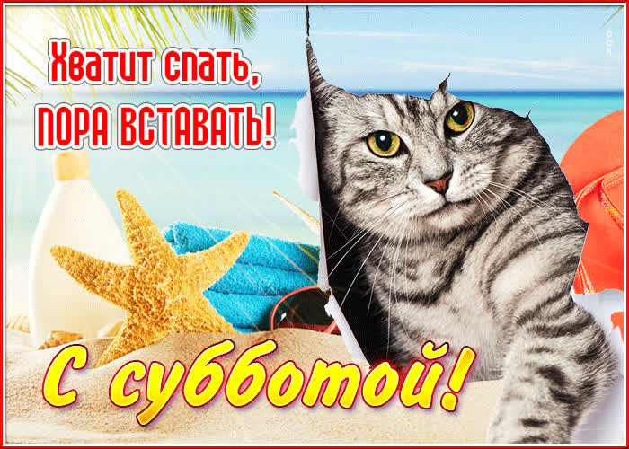 Postcard летняя открытка хватит спать, пора вставать! с субботой