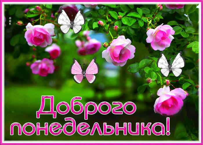 Postcard магнетическая открытка с бабочками доброго понедельника