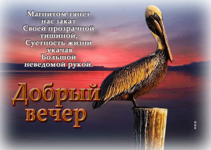 Picture магнитом тянет нас закат своей прозрачной тишиной