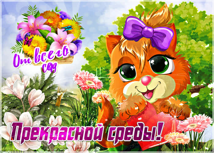 Картинка мерцающая картинка со средой