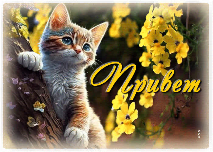 Postcard милая и добрая гиф-открытка привет